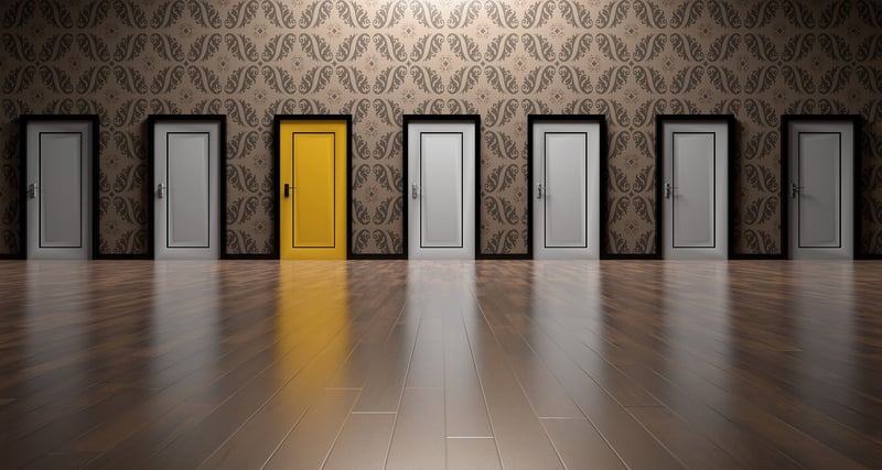 Career Path Exploration